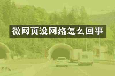 微网页没网络怎么回事