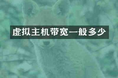 虚拟主机带宽一般多少