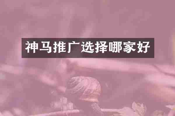 神马推广选择哪家好