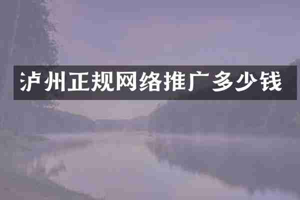 泸州正规网络推广多少钱