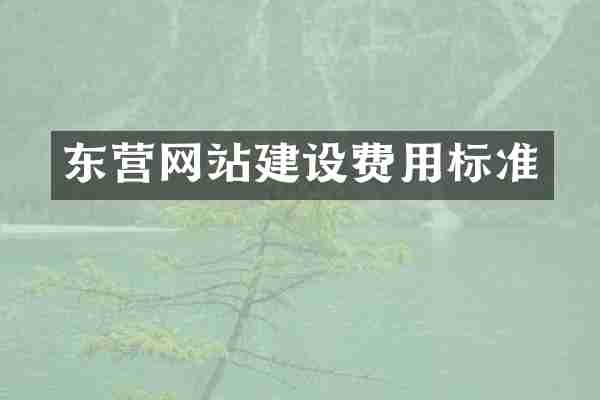东营网站建设费用标准