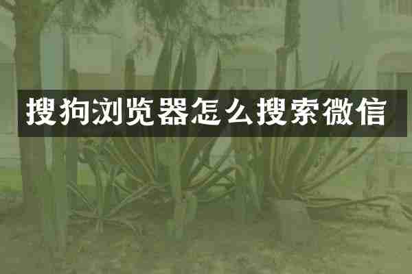 搜狗浏览器怎么搜索微信