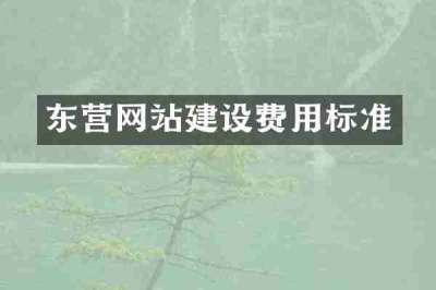 东营网站建设费用标准