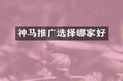 神马推广选择哪家好
