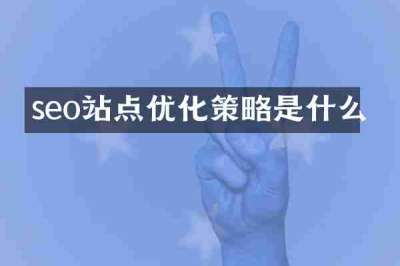seo站点优化策略是什么