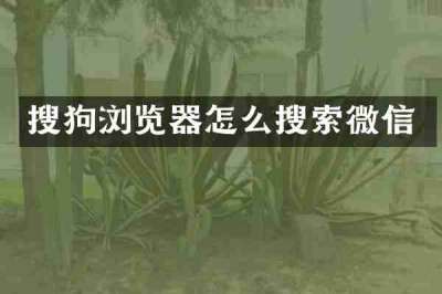 搜狗浏览器怎么搜索微信