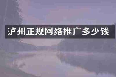 泸州正规网络推广多少钱