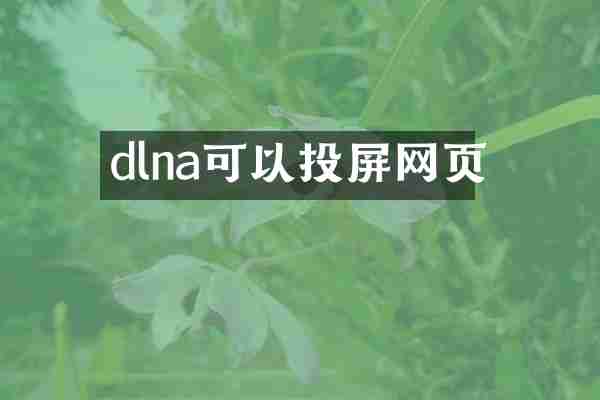 dlna可以投屏网页