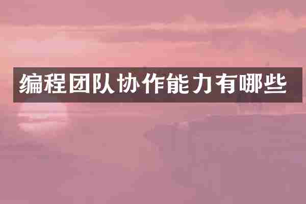 编程团队协作能力有哪些