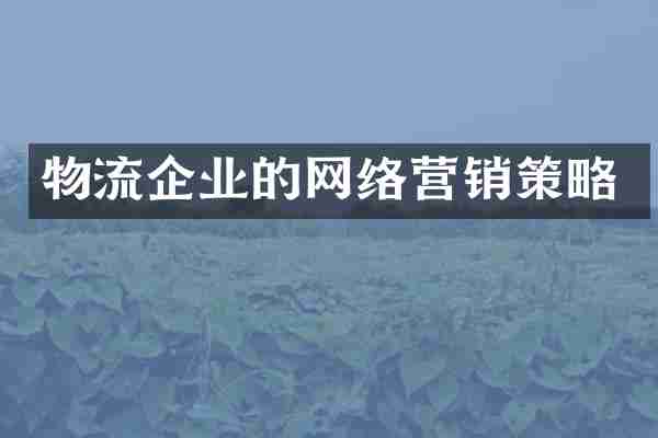 物流企业的网络营销策略
