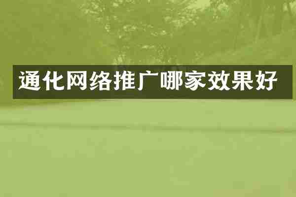 通化网络推广哪家效果好