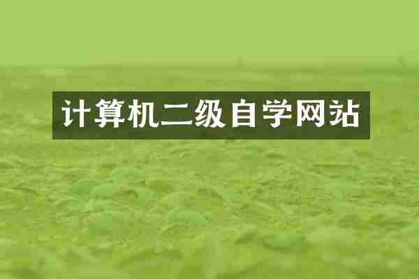 计算机二级自学网站
