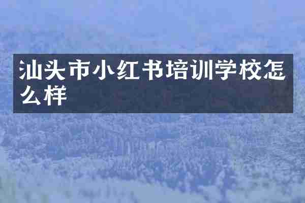 汕头市小红书培训学校怎么样