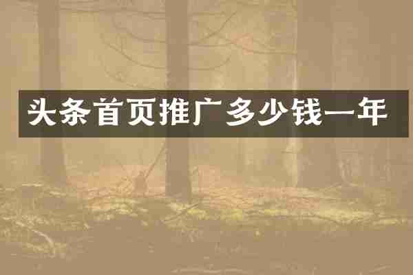 头条首页推广多少钱一年