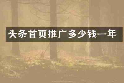 头条首页推广多少钱一年