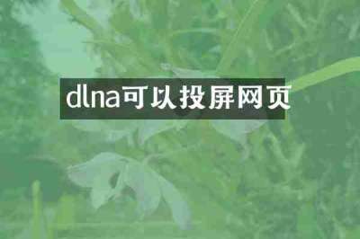 dlna可以投屏网页