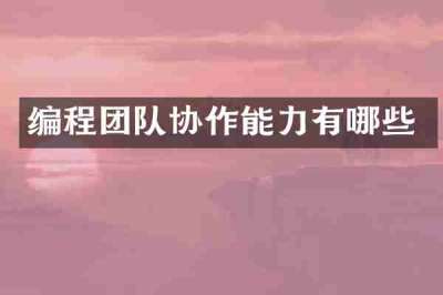 编程团队协作能力有哪些