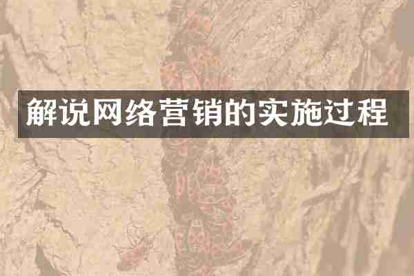 解说网络营销的实施过程