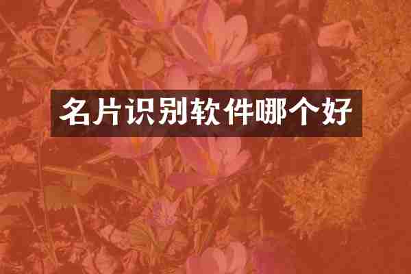 名片识别软件哪个好