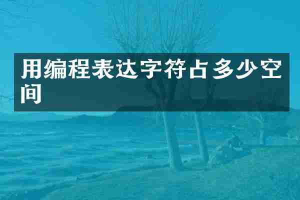 用编程表达字符占多少空间