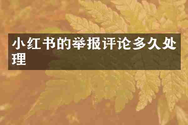 小红书的举报评论多久处理