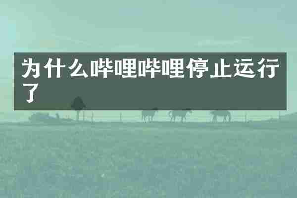 为什么哔哩哔哩停止运行了