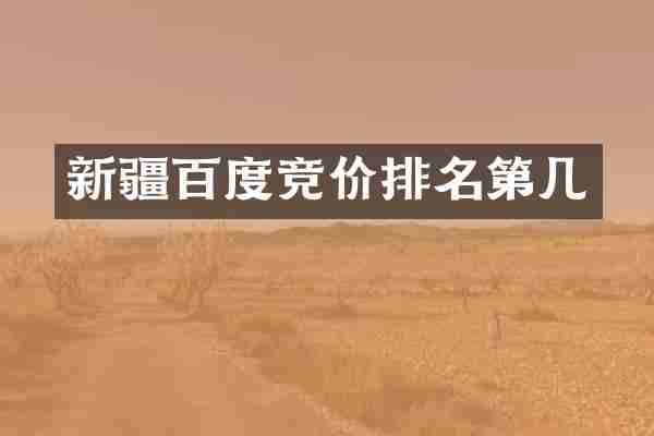 新疆百度竞价排名第几