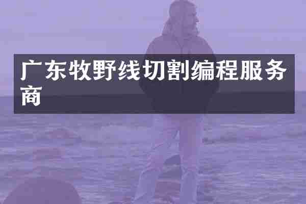 广东牧野线切割编程服务商