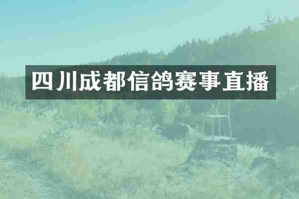 四川成都信鸽赛事直播