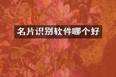 名片识别软件哪个好