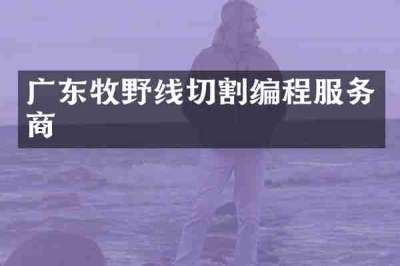 广东牧野线切割编程服务商
