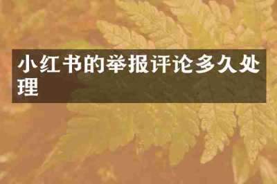 小红书的举报评论多久处理