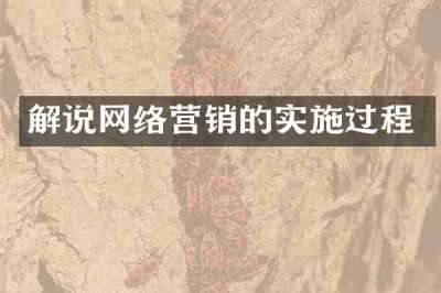 解说网络营销的实施过程
