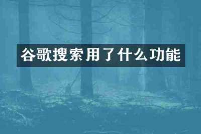 谷歌搜索用了什么功能