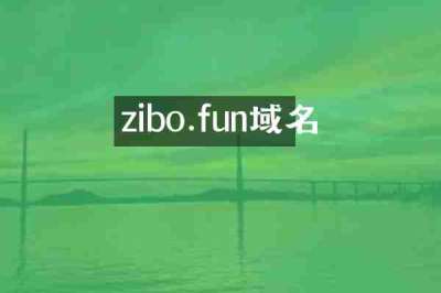 zibo.fun域名