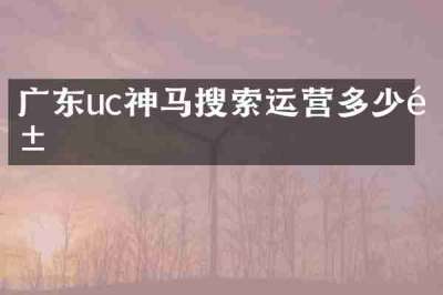 广东uc神马搜索运营多少钱
