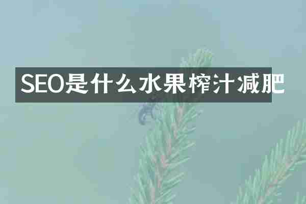 SEO是什么水果榨汁减肥