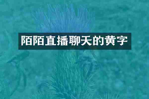 陌陌直播聊天的黄字