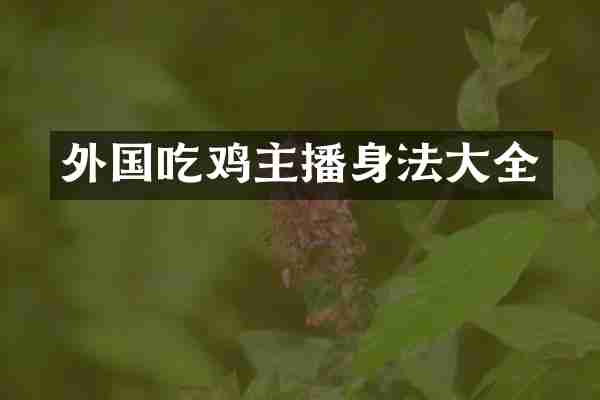 外国吃鸡主播身法大全
