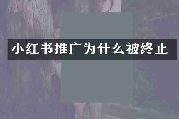 小红书推广为什么被终止