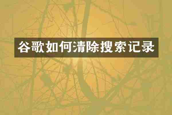 谷歌如何清除搜索记录