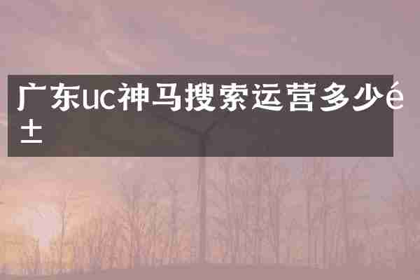 广东uc神马搜索运营多少钱