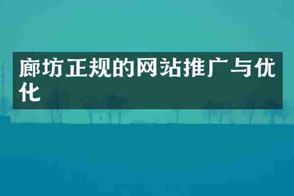 廊坊正规的网站推广与优化