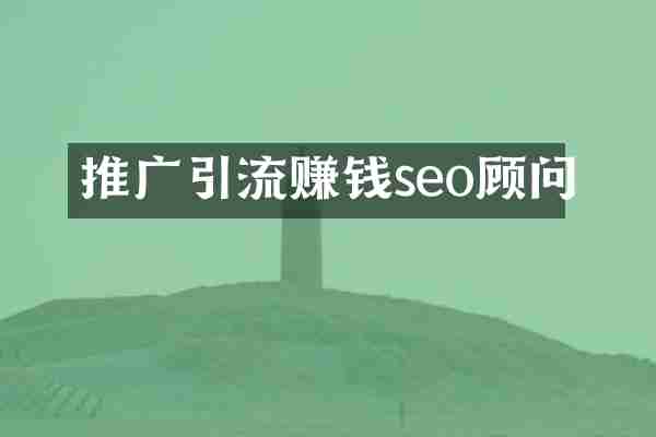 推广引流赚钱seo顾问