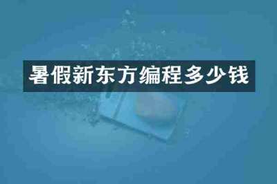暑假新东方编程多少钱