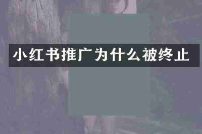 小红书推广为什么被终止