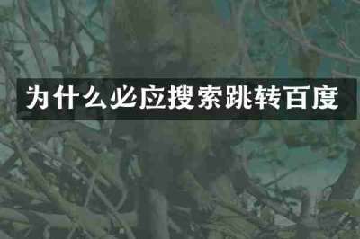 为什么必应搜索跳转百度