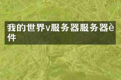 我的世界v服务器服务器软件