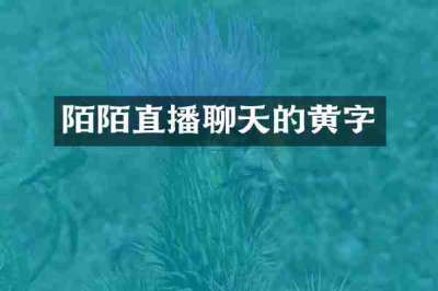 陌陌直播聊天的黄字