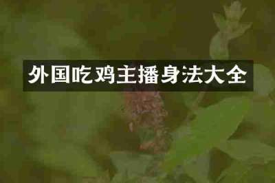 外国吃鸡主播身法大全
